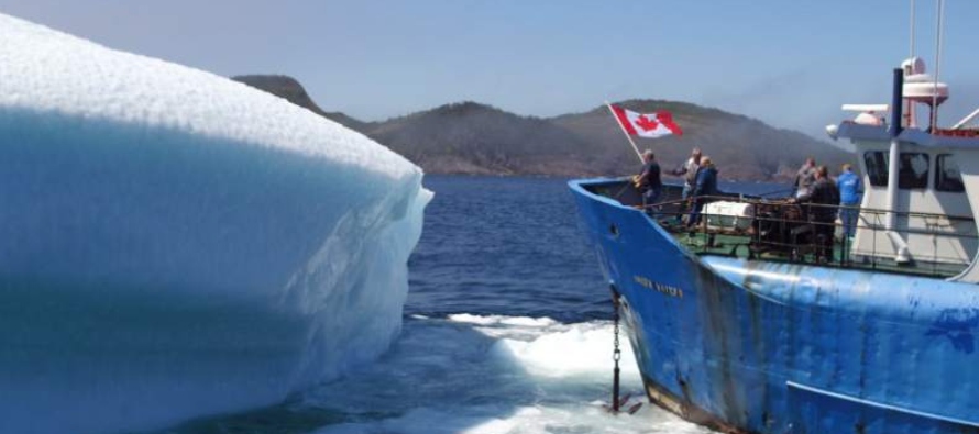 La abundancia de icebergs que se deslizan hacia el sur ha generado una nueva atracción...