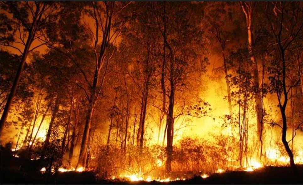 El estado más poblado de Australia quedó paralizado por las condiciones de incendio...