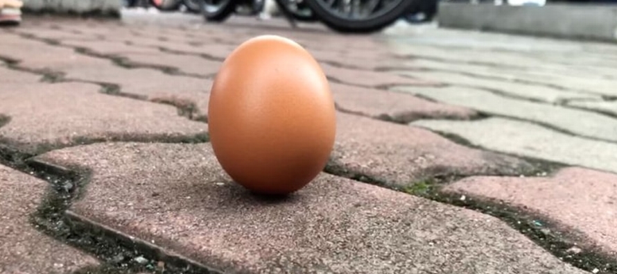 Videos compartidos online mostraron que decenas de usuarios lograron mantener los huevos en...