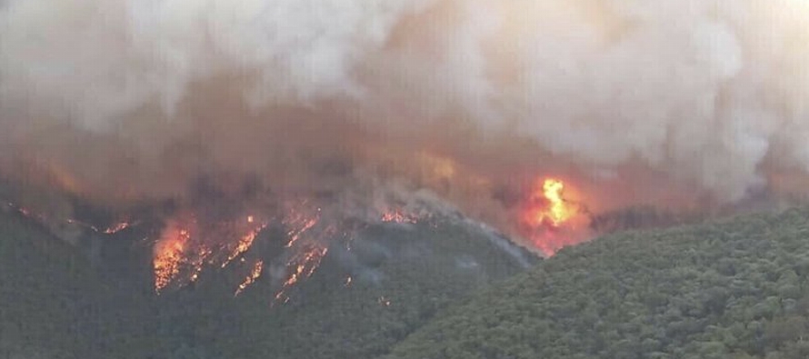 Según las autoridades, las llamas destruyeron 381 viviendas en la costa sur de Nueva Gales...