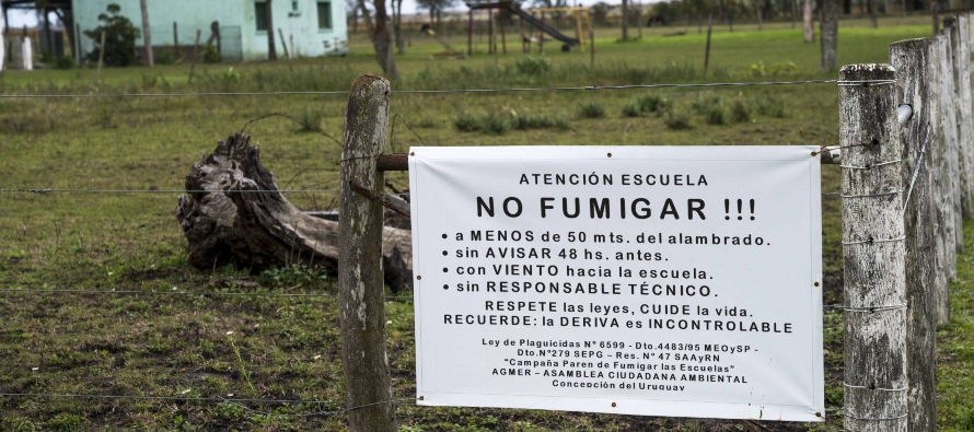 Este caso no es aislado. En Argentina hay unas 15,000 escuelas rurales, que conviven con la...