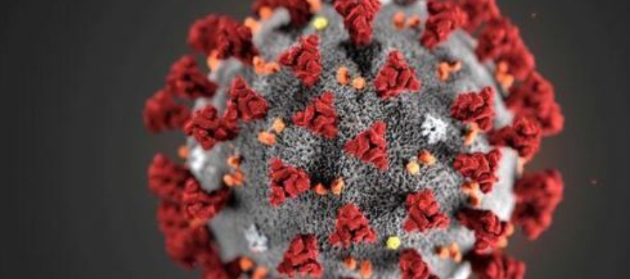 La familia del virus coronavirus incluye el resfriado común y enfermedades más graves...