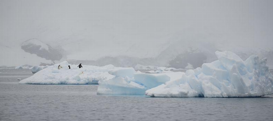 La base Esperanza, en el extremo norte de la península antártica, registró una...