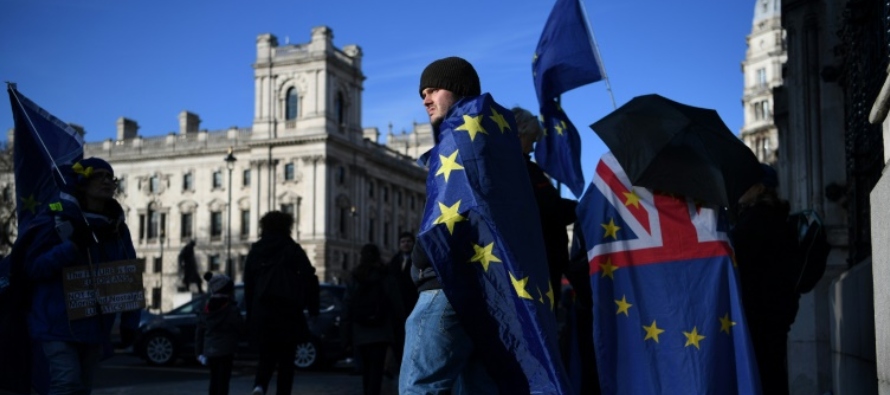 Tras la salida oficial del Reino Unido de la UE el 31 de enero, ambas partes deben emprender el...