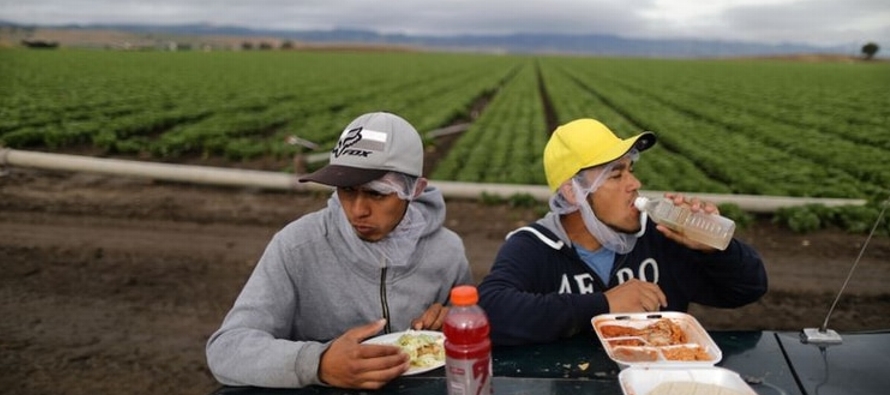 Los trabajadores agrícolas, tanto en Estados Unidos como en México, no cuentan con...
