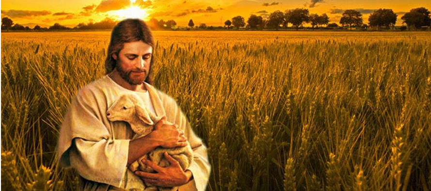 Yo soy el buen pastor; y conozco mis ovejas y las mías me conocen a mí, como me...