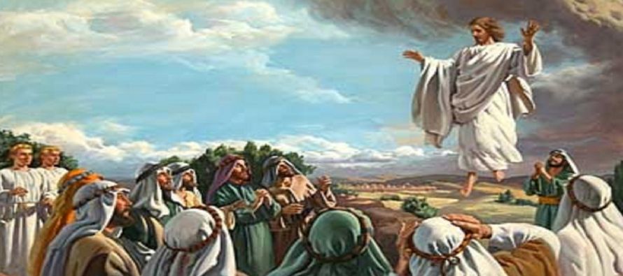 En aquel tiempo, los once discípulos marcharon a Galilea, al monte que Jesús les...