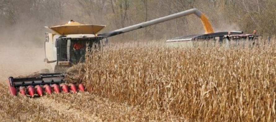 Tanto los futuros de maíz como los de soja se dispararon a niveles máximos de varios...