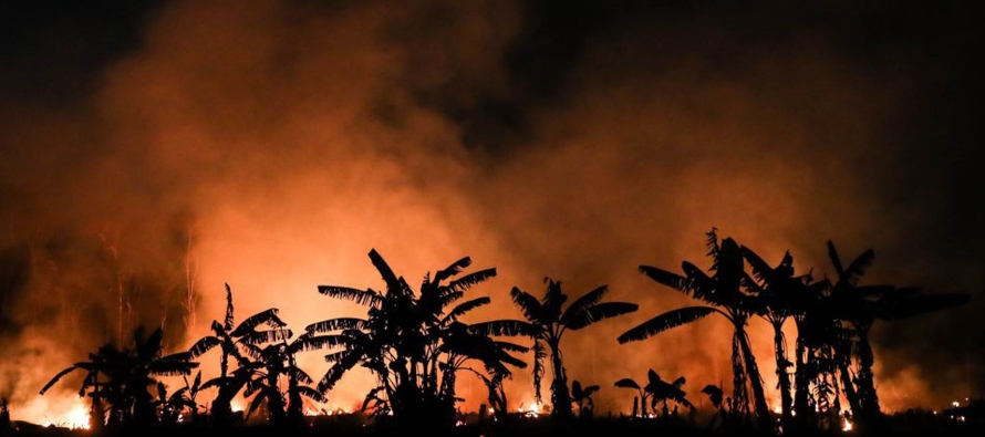 Durante el periodo de enero a junio, el INPE detectó un total de 7.903 focos de incendio en...