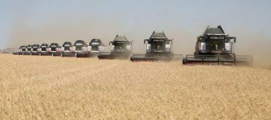 Otra consultora, IKAR, estimó que el precio del trigo para entrega en agosto llegará...