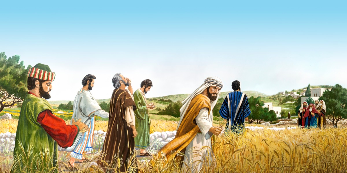 En aquel tiempo, Jesús cruzaba por los sembrados un sábado. Y sus discípulos...