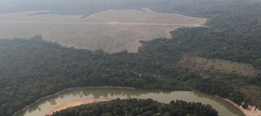 La deforestación en la selva amazónica de Brasil ha aumentado un 34,5% en los 12...