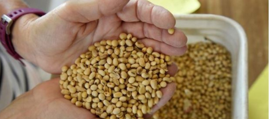 Los futuros de trigo subieron más de un 3% por el temor a que se reduzca el suministro de...