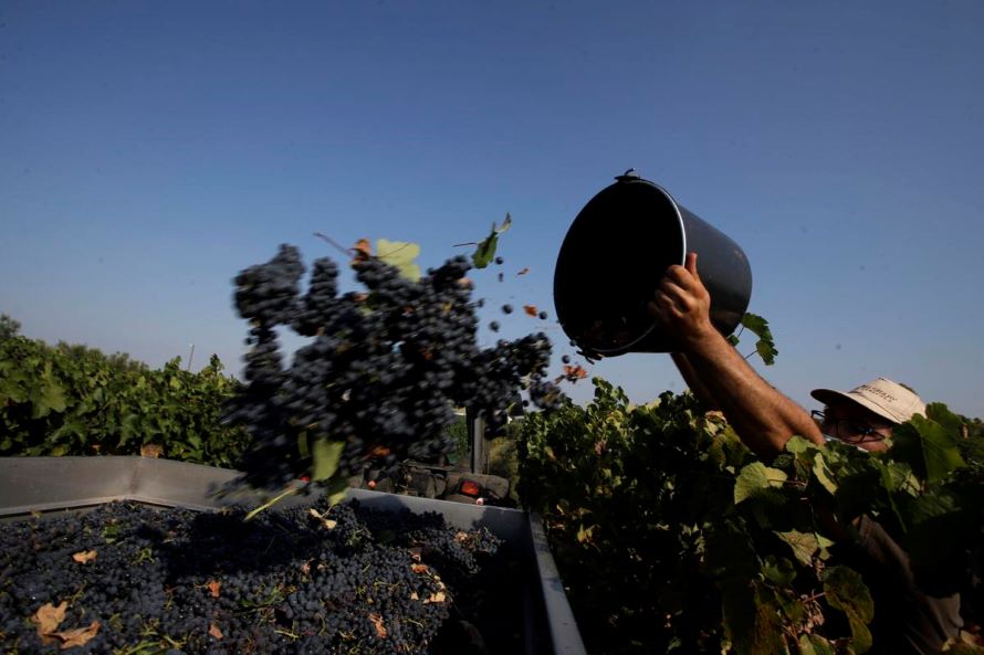 Los cambios pueden llegar lentamente a la centenaria industria vinícola de Italia, pero la...