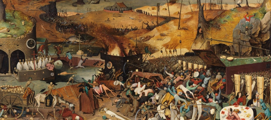 En el siglo XIV la peste bubónica arrasó Europa, aniquilando a un tercio de la...