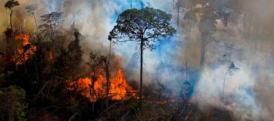 Los satélites han detectado más de 32,000 focos de calor en la mayor selva tropical...