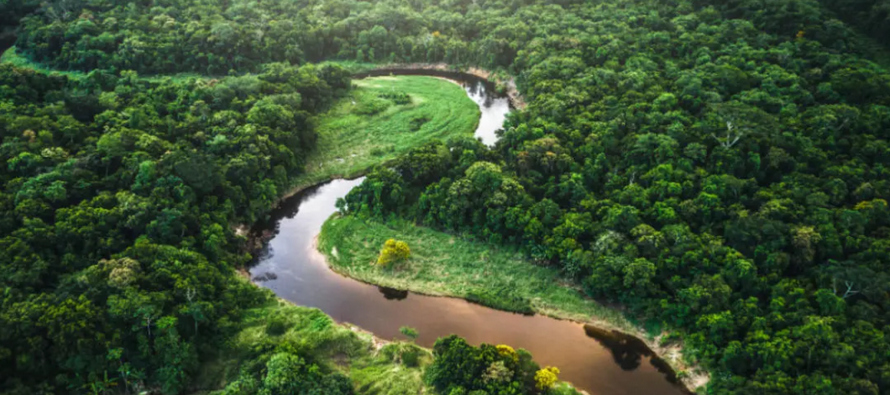 Los ambientalistas ven una selva tropical cuyo desvanecimiento será de consecuencia global.