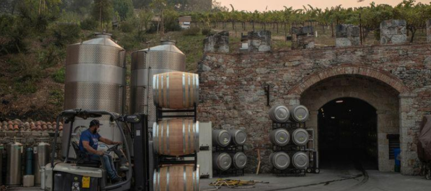 Es el segundo año consecutivo en que la producción mundial de vino se sitúa...