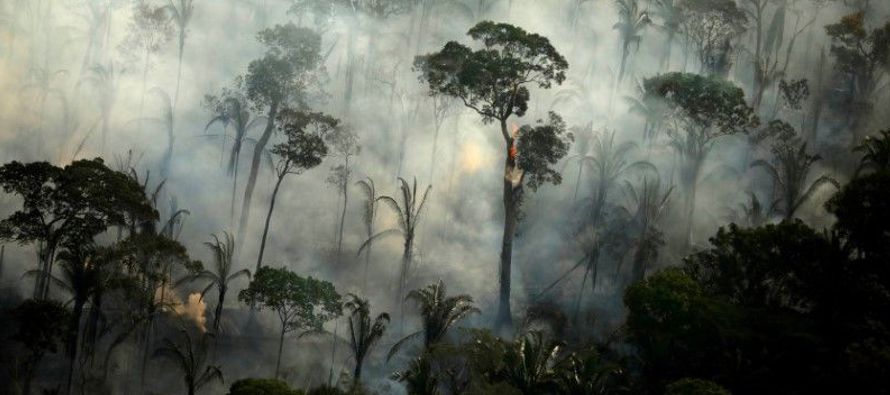 Los hallazgos sugieren que las medidas para proteger las selvas tropicales para ayudar a frenar el...
