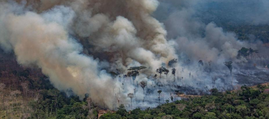 17.326 focos de fuego se han registrado en la selva amazónica, lo que ha convertido a este...