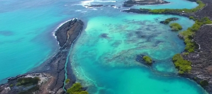 Galápagos, Patrimonio Natural de la Humanidad desde 1978, es uno de los polos de...