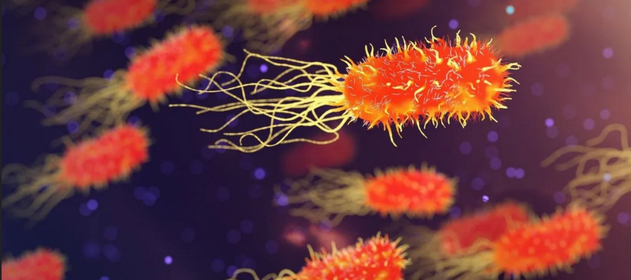 "La resistencia a los antimicrobianos no parece tan urgente como una pandemia, pero es...