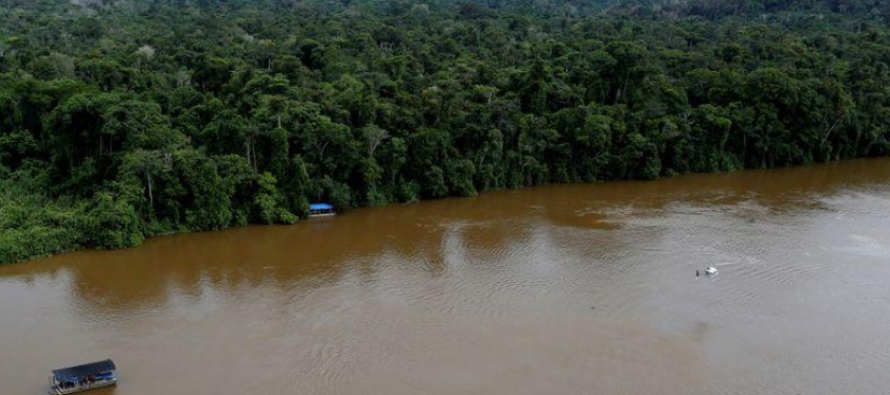 En 2020, la deforestación de la selva tropical más grande del mundo aumentó un...