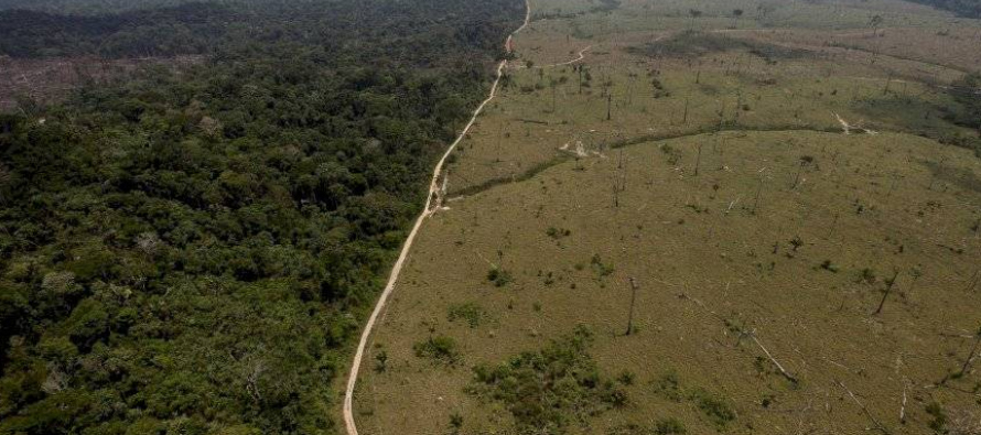 La mayor parte de la deforestación está concentrada en los estados de Pará,...