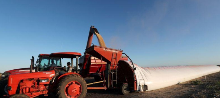 La consultora agrícola rusa Sovecon redujo su pronóstico de la cosecha de trigo para...