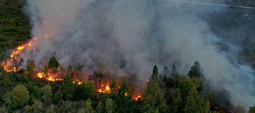 Las llamas afectaron galpones y algunas viviendas rurales, aunque el trabajo de los bomberos...
