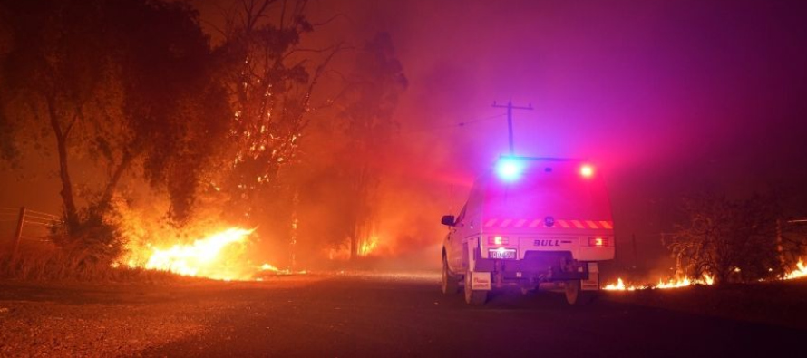 El año pasado, más de 3,5 millones de hectáreas se quemaron en Australia...
