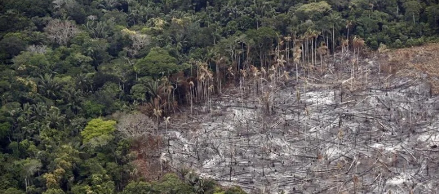 Los países con la mayor cantidad de bosque amazónico primario perdido durante 2020...
