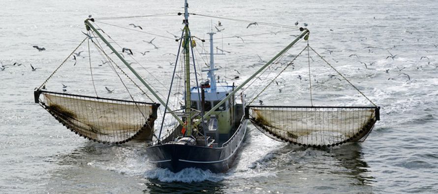 Esta medida afectará especialmente a la flota pesquera holandesa, que ha invertido mucho en...