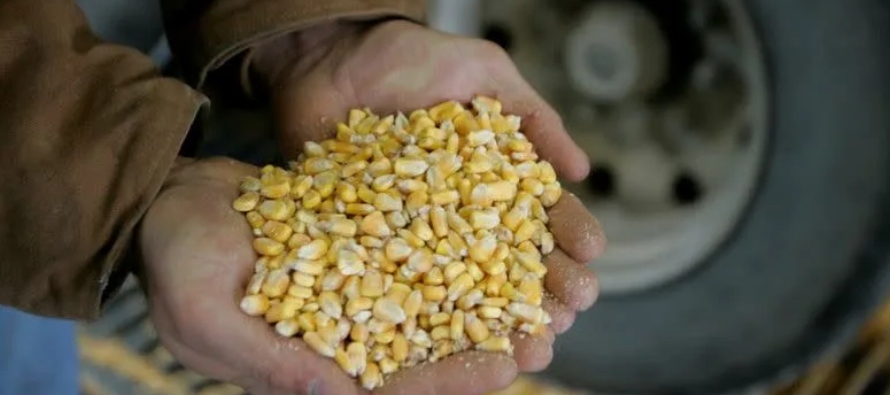 El acuerdo de ventas de granos fue el mayor desde que China compró 2,1 millones de toneladas...