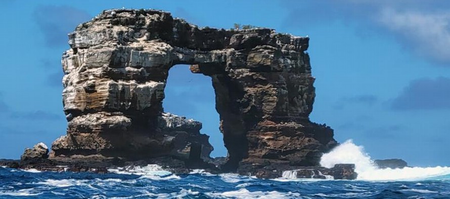 El Parque Nacional Galápagos recibió las primeras imágenes en las que se...