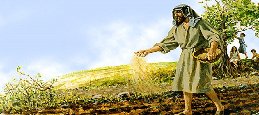 «Pero el que fue sembrado en tierra buena, es el que oye la Palabra y la comprende:...