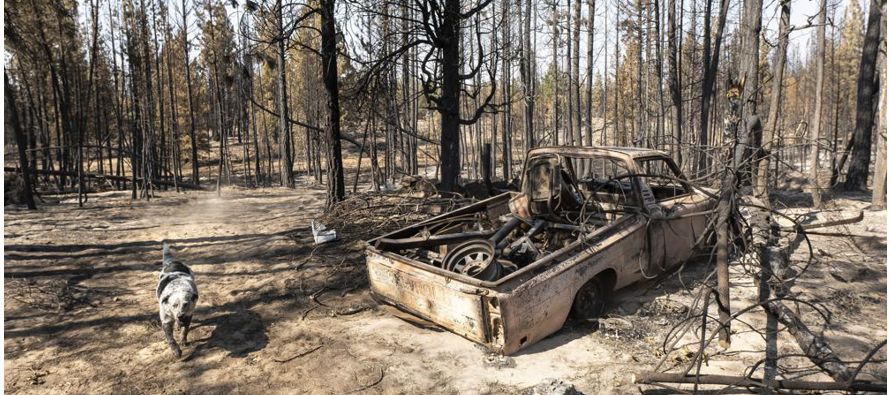 Más de 80 grandes incendios continuaban en el país, la mayoría en los estados...