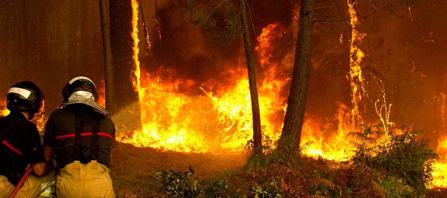 Las altas temperaturas y los fuertes vientos avivaron las llamas en la zona rural ubicada a 100...