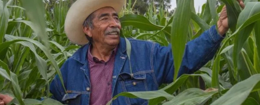 En 2020, México fue el destino de 12,2 % de las exportaciones agrícolas de Estados...