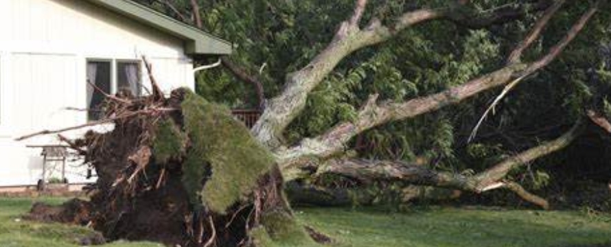 En Wisconsin, residentes sufrieron un sexto día consecutivo de fuertes tormentas...