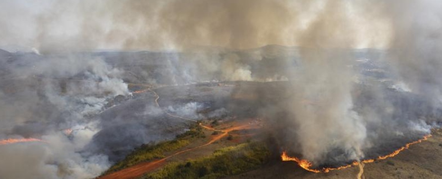 Más de 100 bomberos trataban de apagar las llamas en el parque de Franco da Rocha, un...