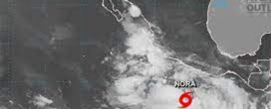 El NHC señaló que la tormenta podría dejar de 20 a 30 centímetros (8 a...