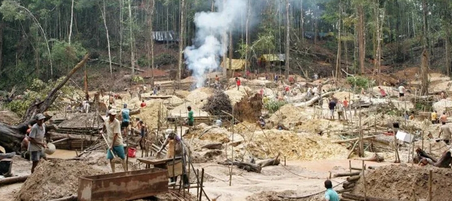 El garimpo es una de las principales causas de la deforestación de la Amazonía, que...