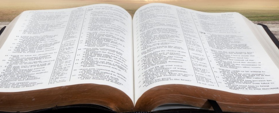 Leer la Biblia te permite descubrir cómo fue que Dios se reveló al ser humano;...