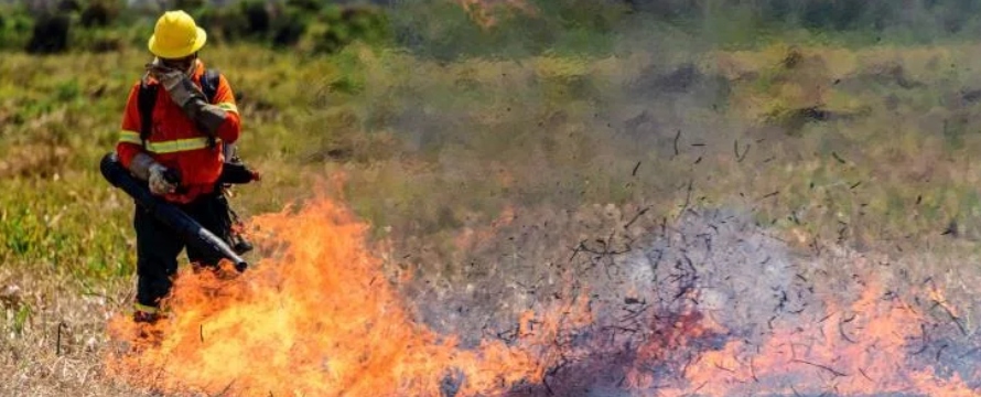 Un portavoz del Cuerpo de Bomberos indicó a Efe que el fuego en el refugio de los jaguares...