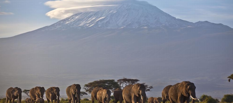 El nuevo reporte se centra en el retroceso de los glaciares del Monte Kilimanjaro, el Monte Kenia,...