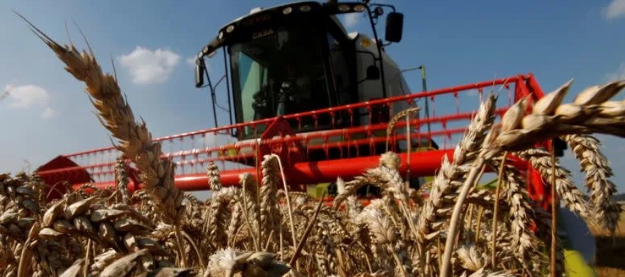La fuerte demanda mundial de fertilizantes parece que se mantendrá al menos hasta 2023,...