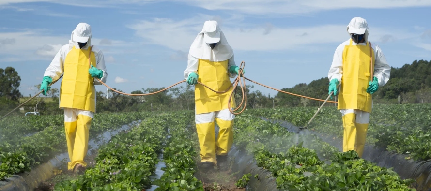 Las personas que viven cerca de los campos donde se usan pesticidas organofosforados pueden...