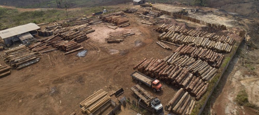 De acuerdo con el sistema de monitoreo de deforestación Prodes del Instituto Nacional de...