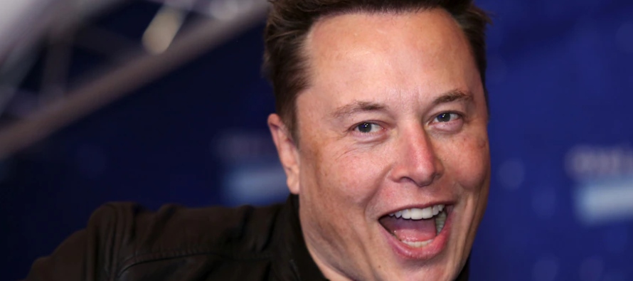 Pero Musk prácticamente suplica que lo toquen: sí, que sus fanáticos...